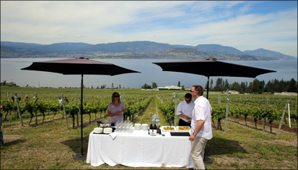 CedarCreek Estate Winery View