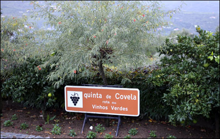 Quinta de Covela