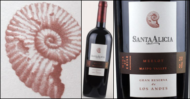 Santa Alicia Merlot Gran Reserva de los Andes