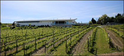 Tantalus Vineyards