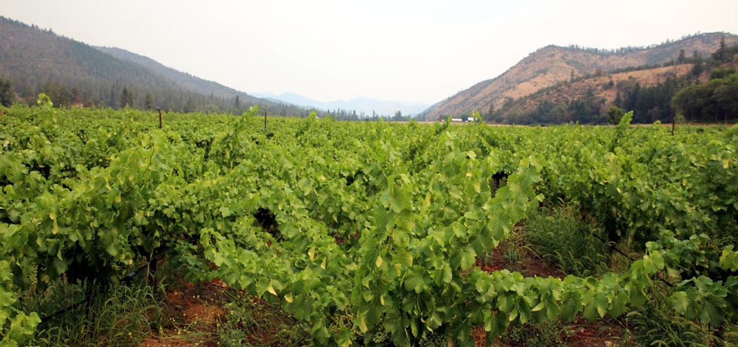 Wine Travel: Rogue Valley, Oregon