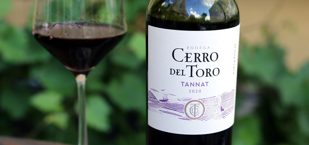 Review: Cerro Del Toro Tannat